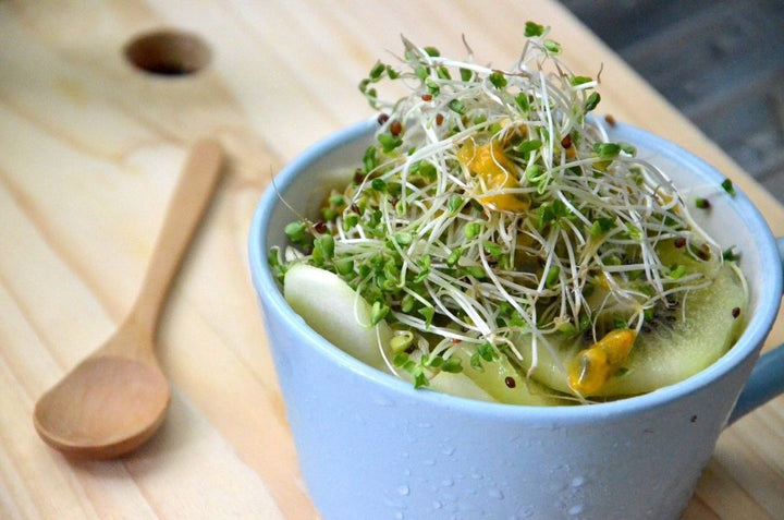 broccoli-sprouts-1977721_1280