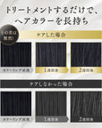 【白髪ケアコンプリート4点セット】カラートリートメント、カラーシャンプー、白髪隠しカラーブラシ、デイリー プロテクト トリートメント