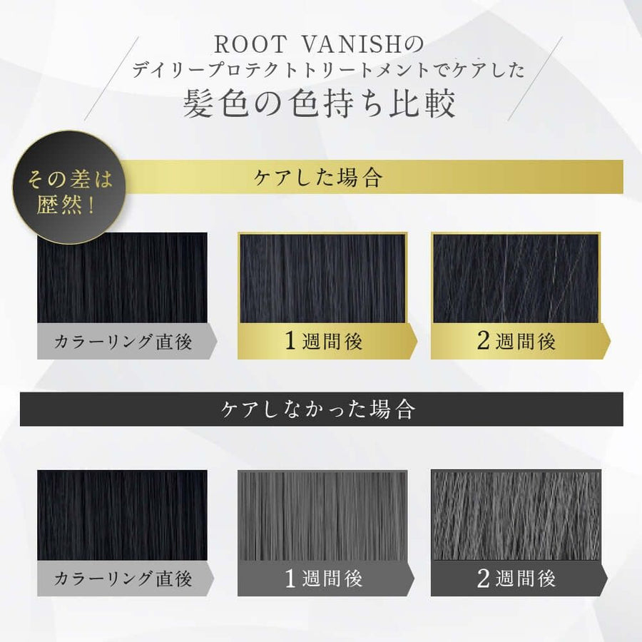 白髪用コンプリート4点セット カラートリートメント、カラーシャンプー