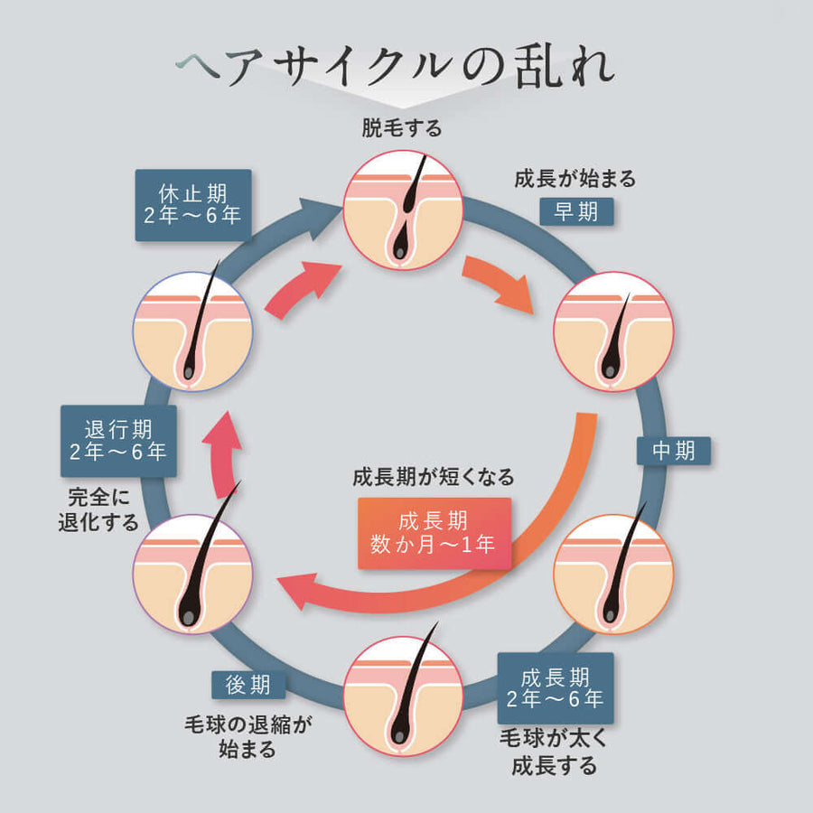 スカルプ マッサージ シャンプー